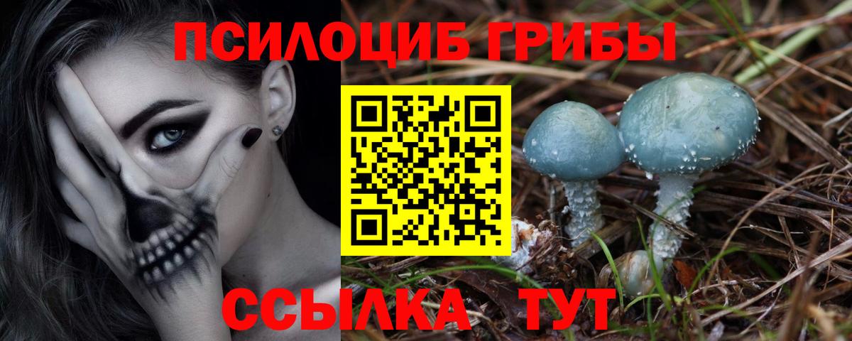 Ачинск  Псилоцибиновые грибы MAGIC MUSHROOMS  Вход с VPN 